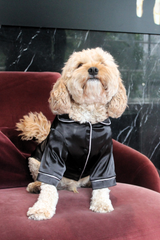 dog pyjamas in black silk
