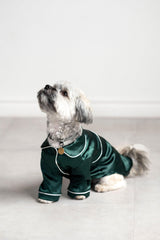 ForestGreenPetPajamas-TellaCouture