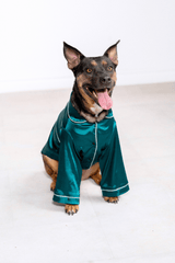 georgina-pet-pajamas-tella-couture