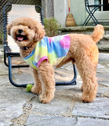 "Lollipops & Rainbows" Tie Dye Pet Sweater - Tella Couture