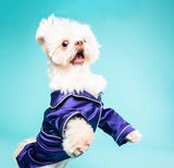 "Loki" Matching Pyjamas in Sapphire - Tella Couture