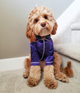 "Loki" Pet Pyjamas in Sapphire - Tella Couture