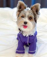 "Loki" Pet Pyjamas in Sapphire - Tella Couture