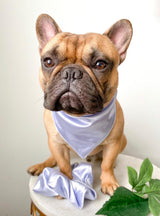 Ice Queen Icy Periwinkle Silk Pet Bandana for Dogs and Cats