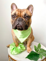 Satin Pet Bandanas - Tella Couture