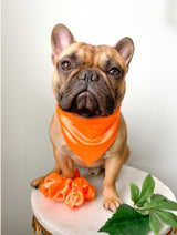 Satin Pet Bandanas - Tella Couture