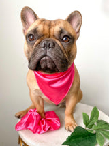 Satin Pet Bandanas - Tella Couture