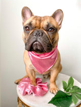 Satin Pet Bandanas - Tella Couture