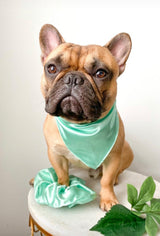 Satin Pet Bandanas - Tella Couture