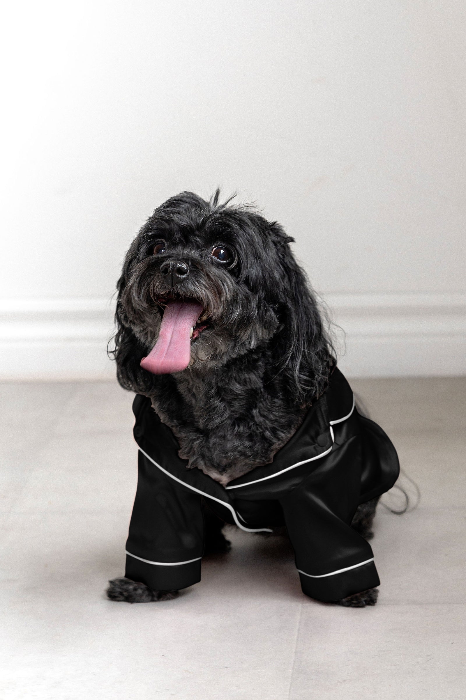 VeronicaPetPawjamas-Black-