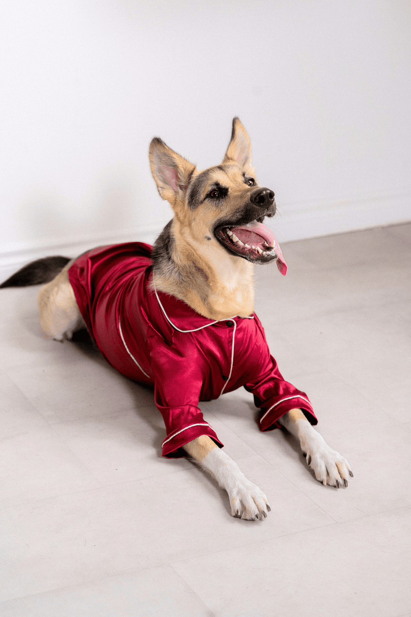 Gift for Dog Moms Matching Pet and Owner Pajamas Set in Ruby Red Satin dogs,  Cats and People Silk Pj's 