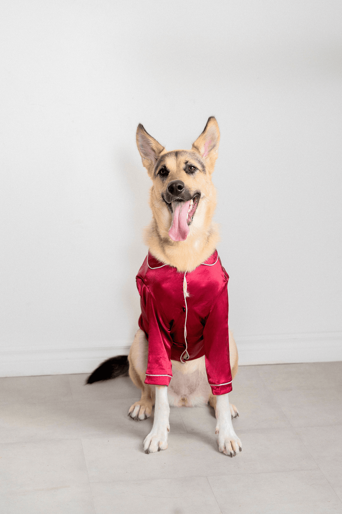 Dog silk robe best sale