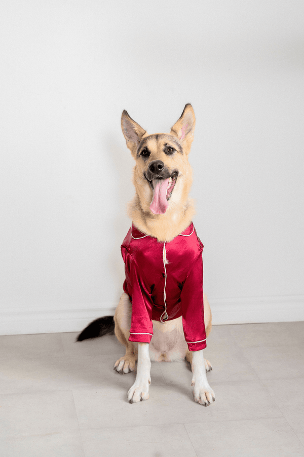 the-og-pet-pajamas-ruby-red-tella-couture