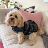 "Bella" Pet Puffer Coat in Black - Tella Couture