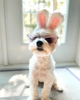 Bunny Ears Halloween Pet Costume - Tella Couture
