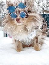 Blue "Lennon" Sunglasses for Pets - Tella Couture