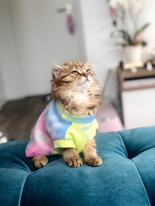 "Lollipops & Rainbows" Tie Dye Pet Sweater - Tella Couture