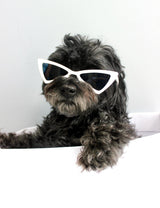 "Love Triangle" Pet Sunglasses - Tella Couture