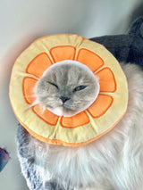 Orange Slice Halloween Pet Costume - Tella Couture