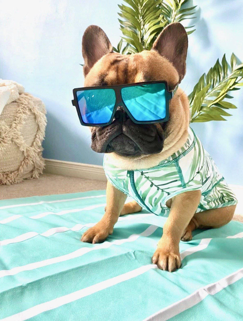 "Tulum" Oversized Sunglasses for Pets - Tella Couture