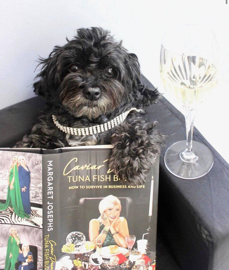"Winston" Diamond Choker for Pets - Tella Couture