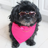 "Zoe" Matching Sunglasses for Cats, Dogs - Dusk - Tella Couture
